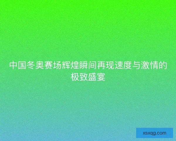 中国冬奥赛场辉煌瞬间再现速度与激情的极致盛宴